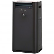 Очиститель воздуха Sharp KC-G41RH