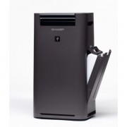 Очиститель воздуха Sharp KC-G41RH