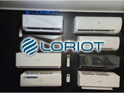 Loriot